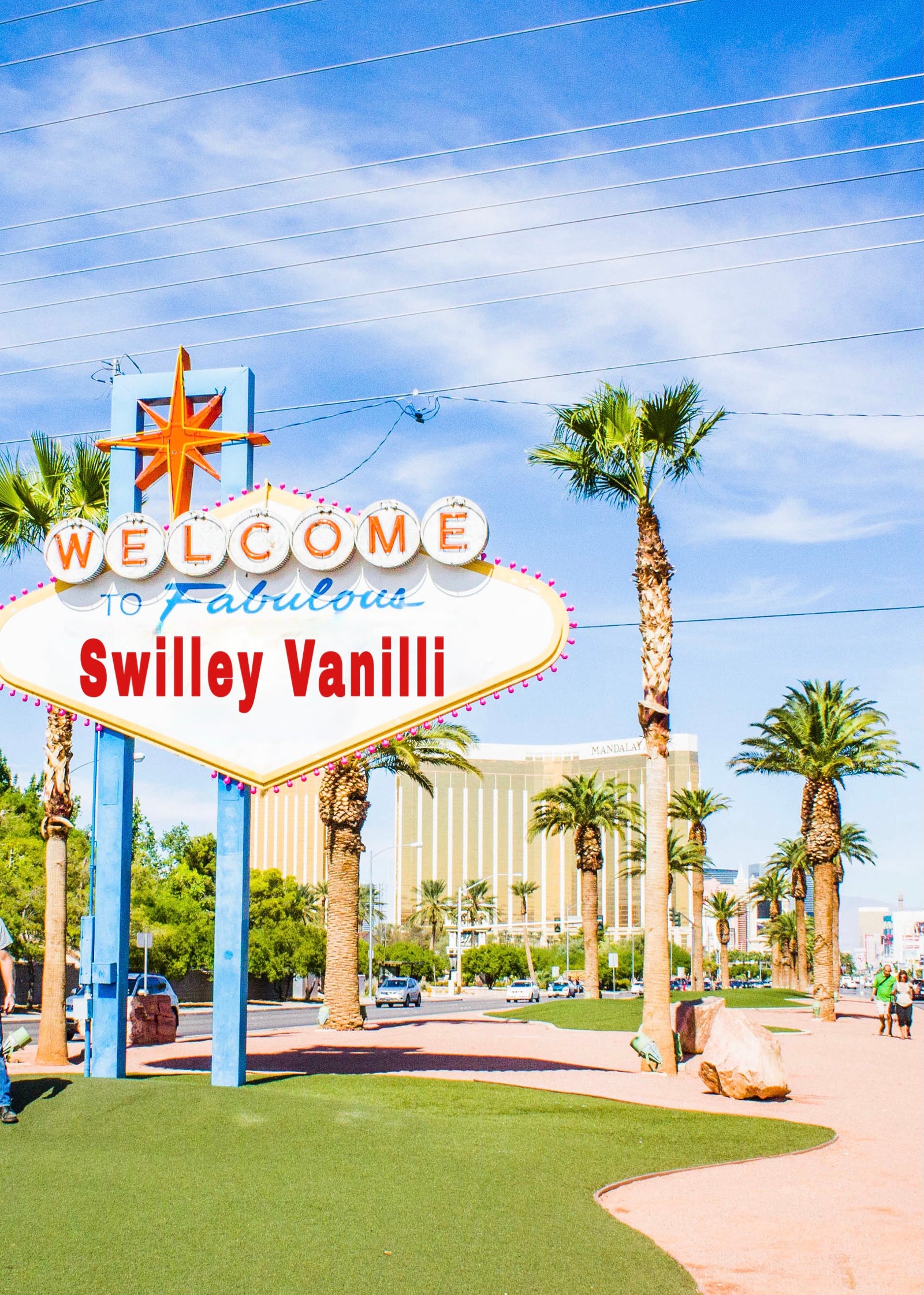 Swilley Vanilli Gift Card